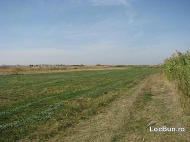 Vand teren agricol 25 Ha pretabil fotovoltaice Dambovita