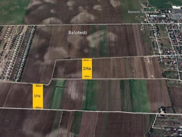 Vand teren Balotesti 1 Ha rezidential intravilan