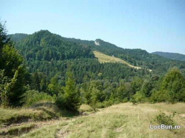 Vand teren Rasnov, zona Trei Brazi, cu padure