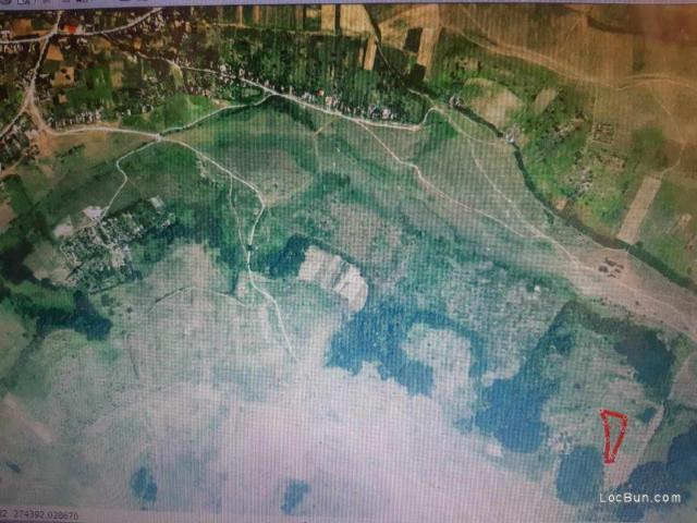 Vand terenuri extravilane agricole Uileacu de Munte Bihor