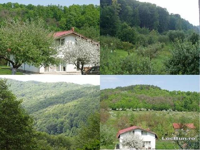 Vand vila submontana 5755mp teren plat cca1h30min din Bucuresti
