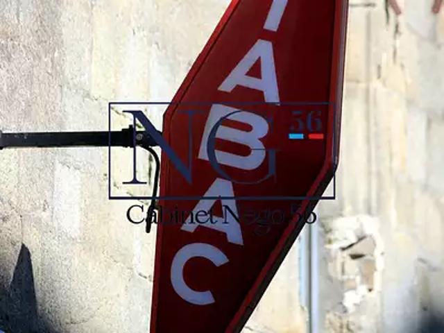 Vannes 56000 Achat / Vente divers