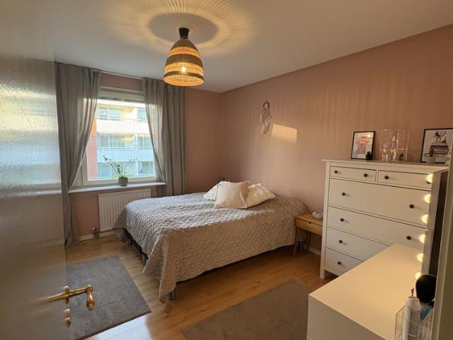 Vänortsstråket, Stockholm