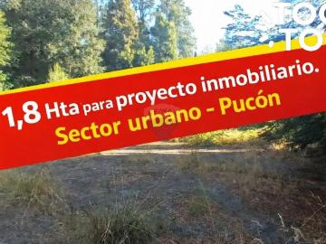 Vacacional en Pucón