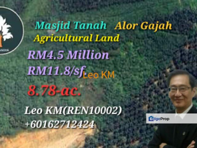 Vacant Agricultural Land