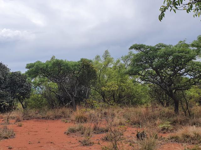 Vacant, full title stand at nylsoog wild & echo estate near bela
