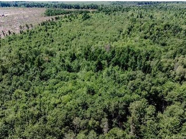 Vacant Lot Ch Nw Aldouane River Rd, Saint Charles, NB, E4W 0A8 vacant land for sale | Listing ID NB134785 | Royal LePage