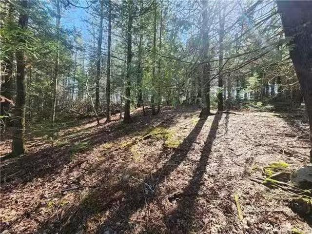 Vacant Lot Route 695, Whites Cove, NB, E4C 2B7 vacant land f.