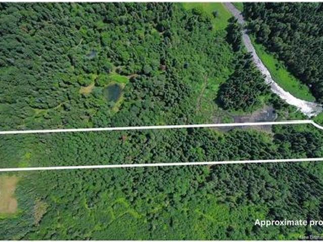 Vacant Land Black Brook Rd, Glassville, NB, E7L 1R7 vacant land for sale | Listing ID NB143641 | Royal LePage