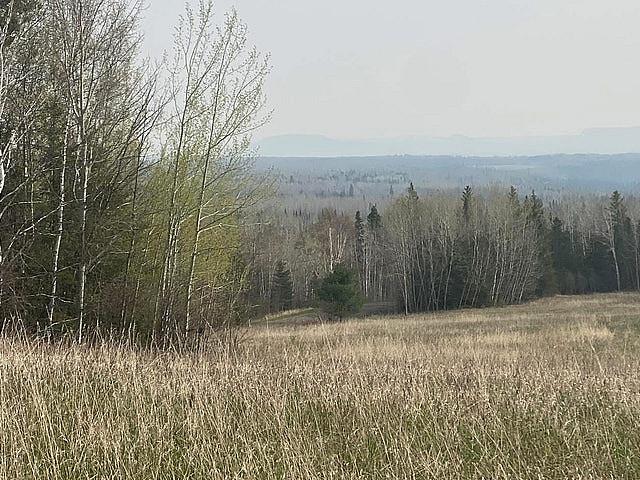 Vacant Land: Built Your Dream Home On This 15 Acre Parcel