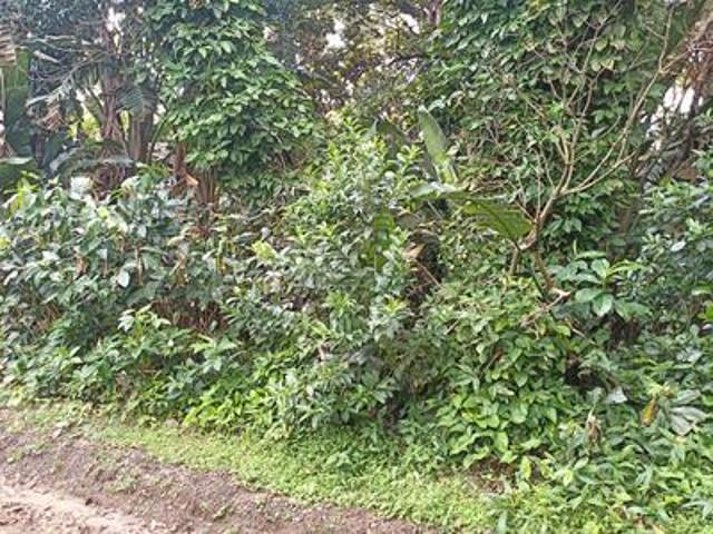 vacant land in trafalgar