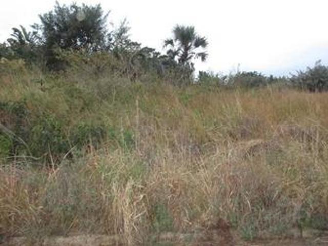 vacant land on the market in oslo beach