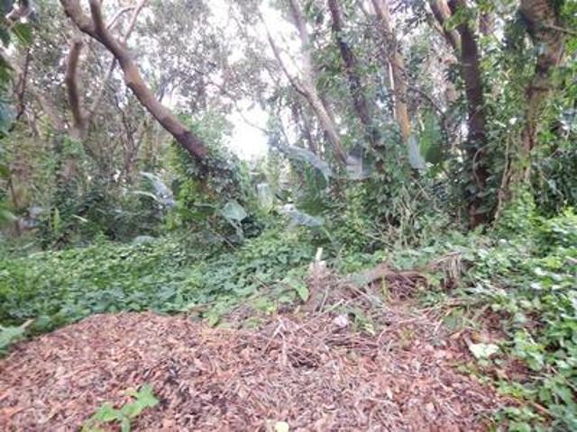 vacant land on the market in glenmore