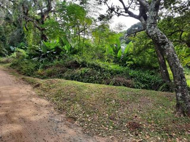 vacant land on the market in leisure bay