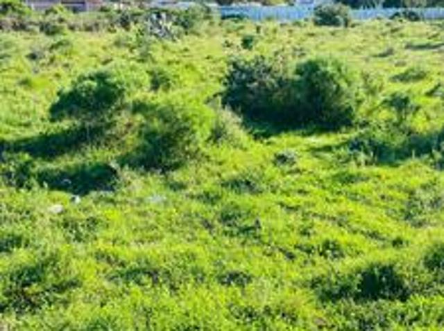 vacant land on the market – parliame.