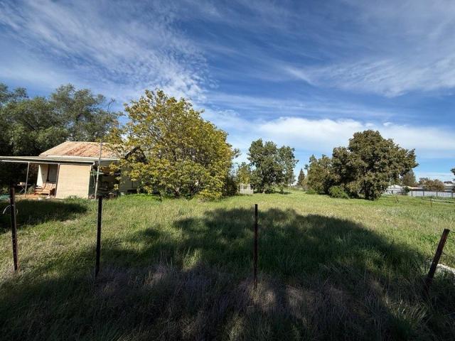 Vacant Land Opportunity in Bogan Gate