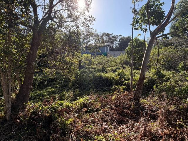 Vacant Land / Plot in Mtwalume For Sale