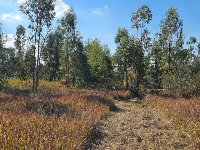 Vacant Land / Plot in Magaliesburg For Sale