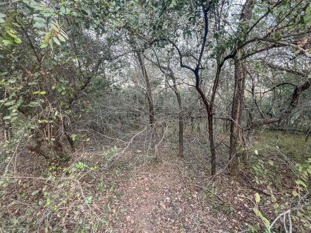 Vacant Land / Plot in Marloth Park For Sale