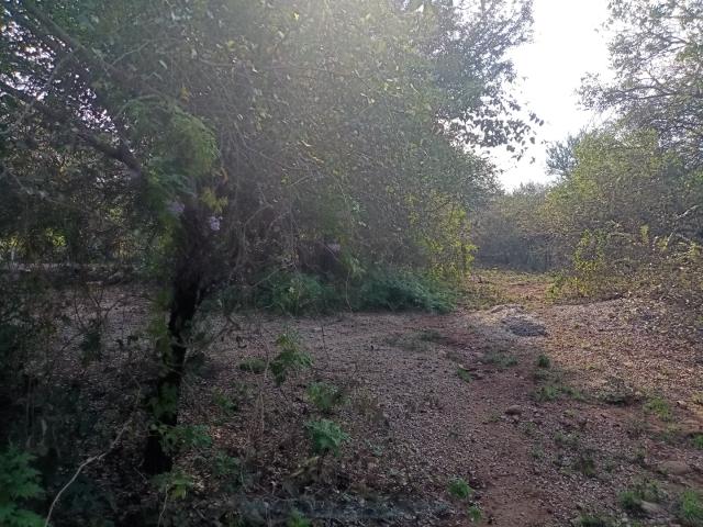 Vacant Land / Plot in Marloth Park For Sale