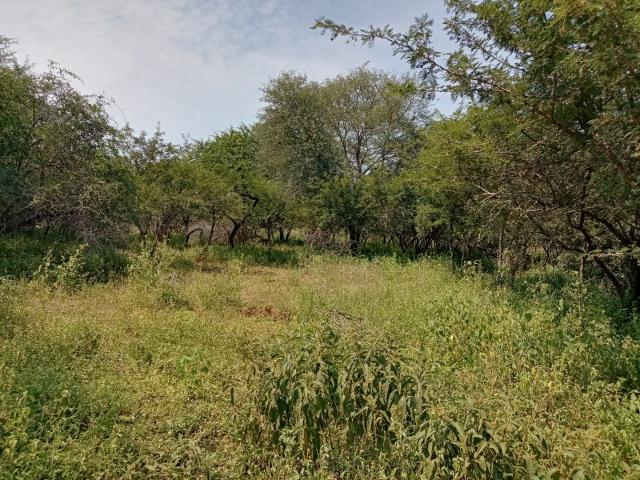 Vacant Land / Plot in Marloth Park For Sale