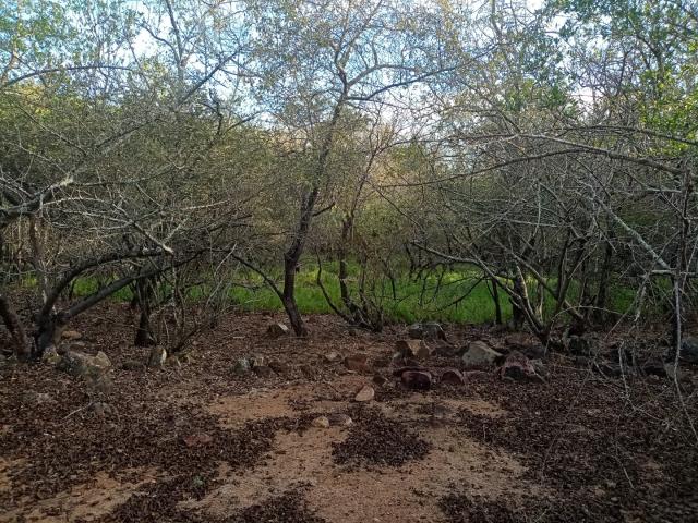 Vacant Land / Plot in Marloth Park For Sale
