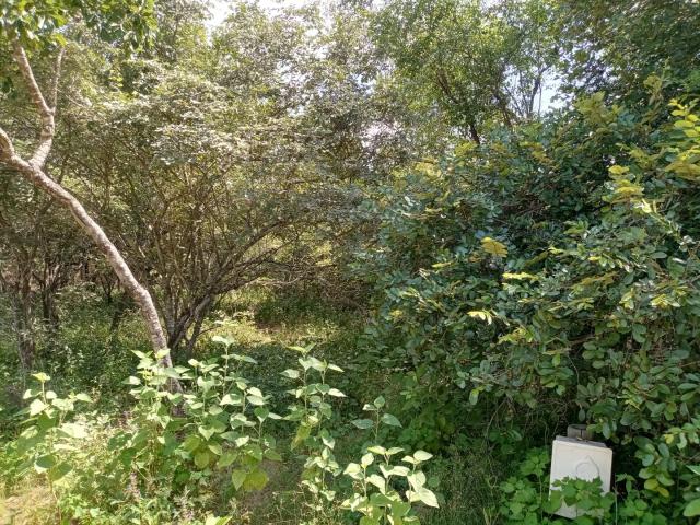 Vacant Land / Plot in Marloth Park For Sale