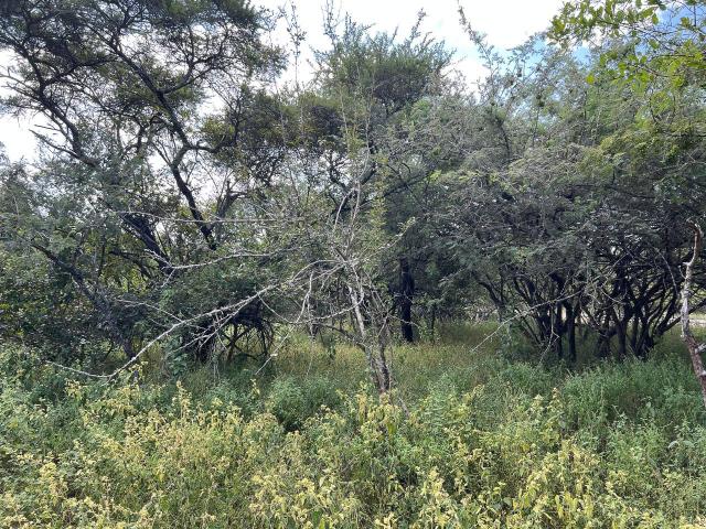 Vacant Land / Plot in Marloth Park For Sale