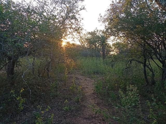 Vacant Land / Plot in Marloth Park For Sale