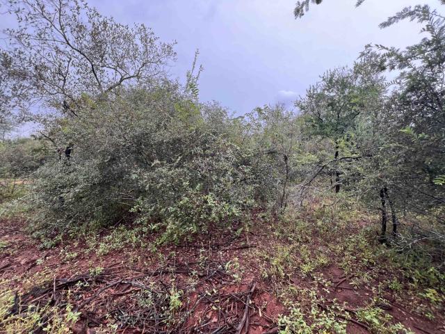 Vacant Land / Plot in Marloth Park For Sale