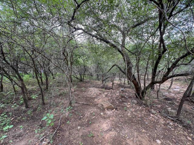 Vacant Land / Plot in Marloth Park For Sale