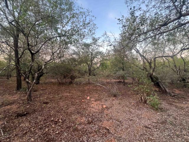 Vacant Land / Plot in Marloth Park For Sale