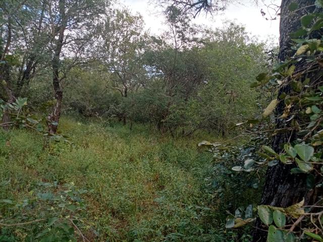 Vacant Land / Plot in Marloth Park For Sale