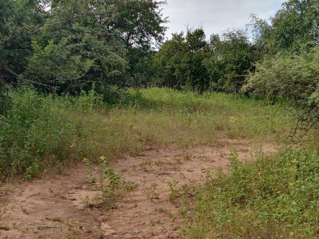 Vacant Land / Plot in Marloth Park For Sale