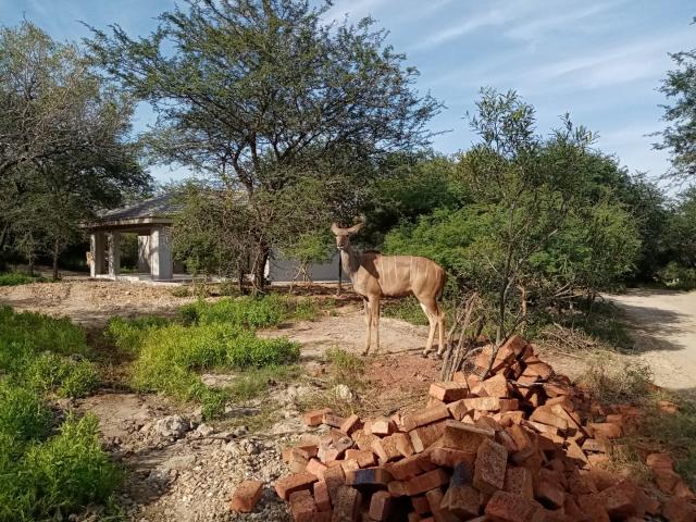 Vacant Land / Plot in Marloth Park For Sale
