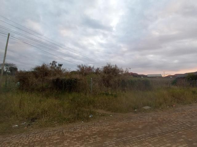 Vacant Land / Plot in Medi Park For Sale
