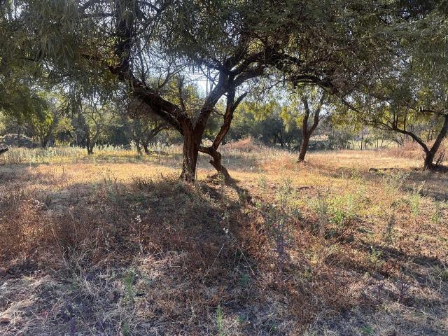 Vacant Land / Plot in Melodie For Sale