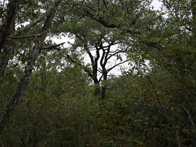 Vacant Land / Plot in Moditlo Nature Reserve For Sale
