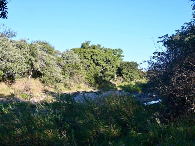 Vacant Land / Plot in Moditlo Nature Reserve For Sale