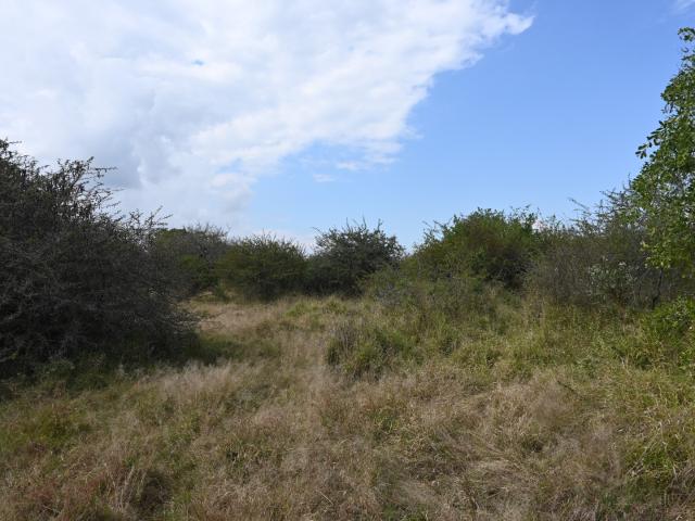 Vacant Land / Plot in Moditlo Nature Reserve For Sale