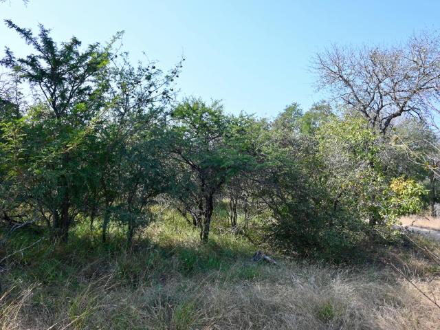 Vacant Land / Plot in Moditlo Nature Reserve For Sale