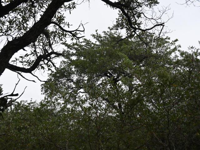 Vacant Land / Plot in Moditlo Nature Reserve For Sale