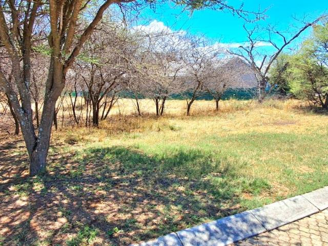 Vacant Land / Plot in Modimolle For Sale