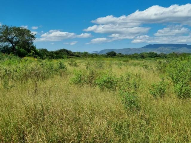 Vacant Land / Plot in Mokopane Central For Sale