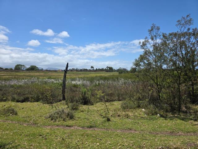 Vacant Land / Plot in Mooikloof Country Estate For Sale