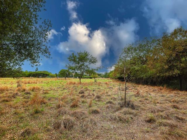 Vacant Land / Plot in Mooikloof Equestrian Estate For Sale
