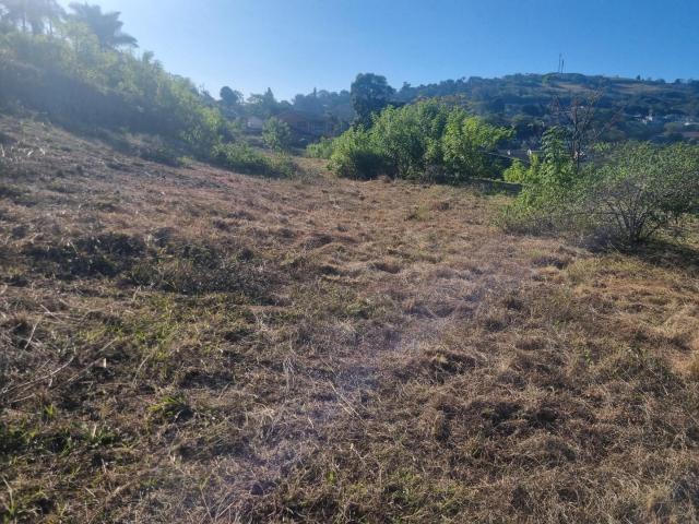 Vacant Land / Plot in Nagina For Sale