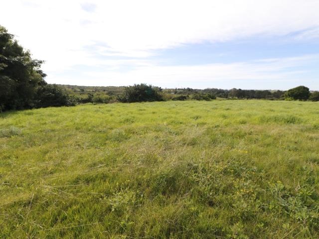 Vacant Land / Plot in Alexandria For Sale