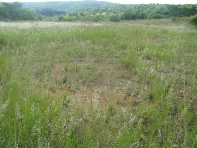 Vacant Land / Plot in Ashburton For Sale