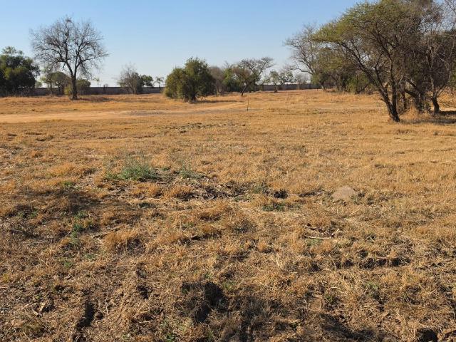 Vacant Land / Plot in Bela For Sale